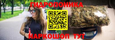 индика Усть-Илимск